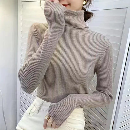 Slim Ribbed Turtleneck Knit Sweater