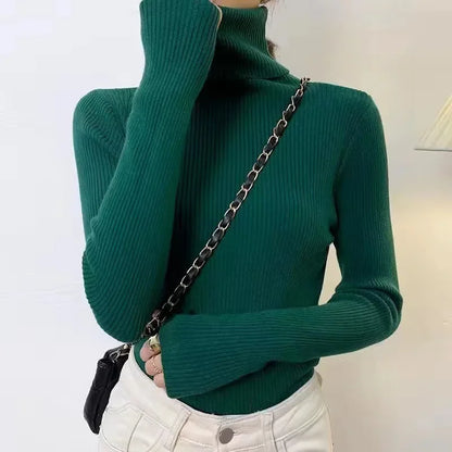Slim Ribbed Turtleneck Knit Sweater