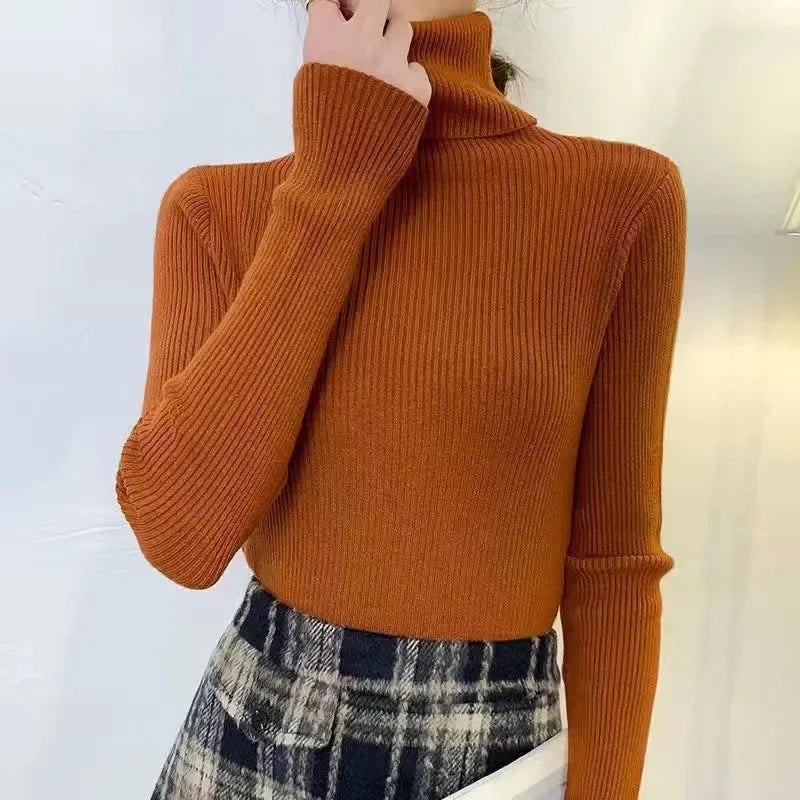 Slim Ribbed Turtleneck Knit Sweater