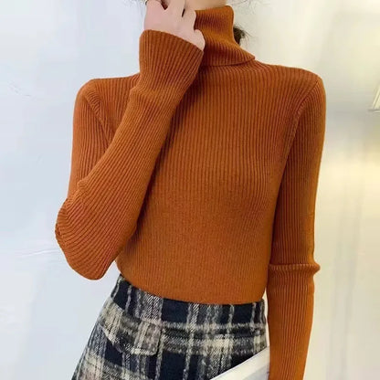 Slim Ribbed Turtleneck Knit Sweater