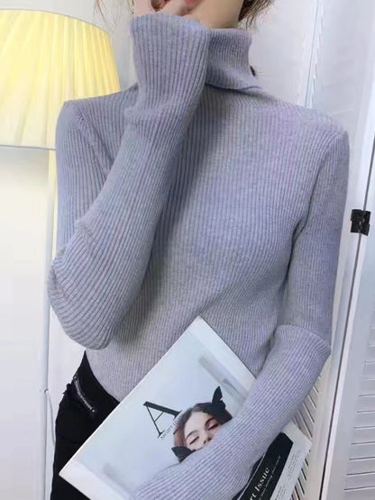 Slim Ribbed Turtleneck Knit Sweater