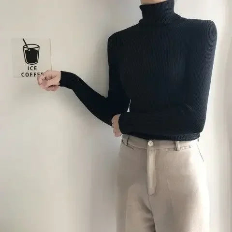 Slim Ribbed Turtleneck Knit Sweater